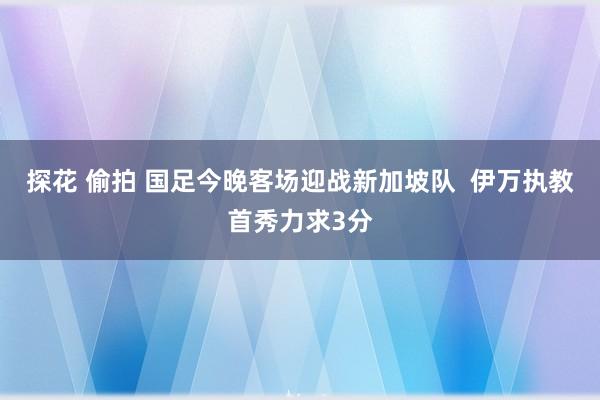 探花 偷拍 国足今晚客场迎战新加坡队  伊万执教首秀力求3分