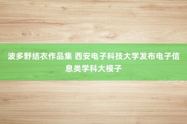 波多野结衣作品集 西安电子科技大学发布电子信息类学科大模子