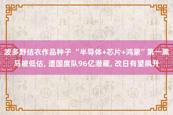 波多野结衣作品种子 “半导体+芯片+鸿蒙”第一黑马被低估， 遭国度队96亿潜藏， 改日有望飙升