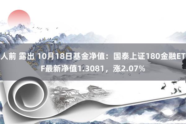 人前 露出 10月18日基金净值：国泰上证180金融ETF最新净值1.3081，涨2.07%