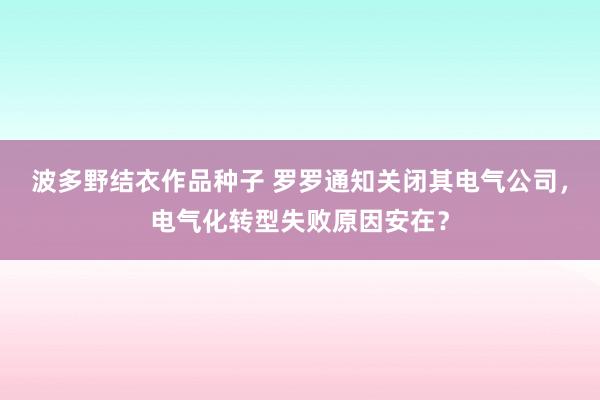 波多野结衣作品种子 罗罗通知关闭其电气公司，电气化转型失败原因安在？