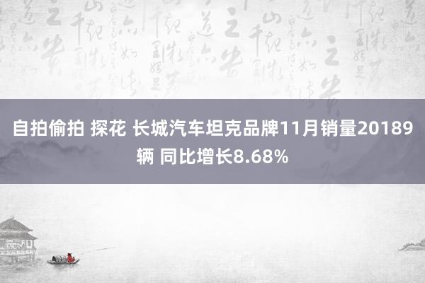 自拍偷拍 探花 长城汽车坦克品牌11月销量20189辆 同比增长8.68%