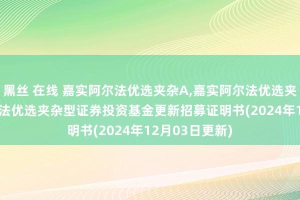 黑丝 在线 嘉实阿尔法优选夹杂A，嘉实阿尔法优选夹杂C: 嘉实阿尔法优选夹杂型证券投资基金更新招募证明书(2024年12月03日更新)