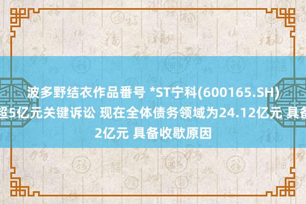 波多野结衣作品番号 *ST宁科(600165.SH)波及金额超5亿元关键诉讼 现在全体债务领域为24.12亿元 具备收歇原因