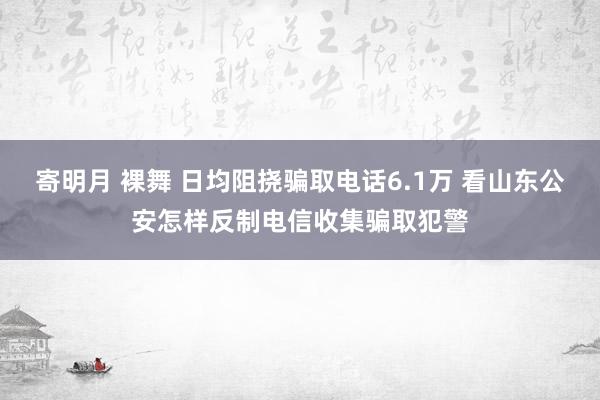 寄明月 裸舞 日均阻挠骗取电话6.1万 看山东公安怎样反制电信收集骗取犯警