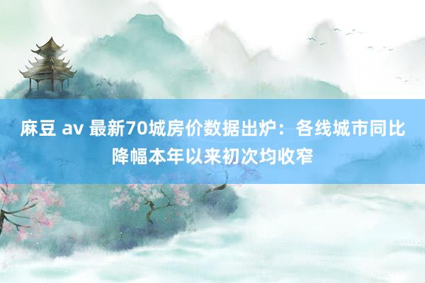 麻豆 av 最新70城房价数据出炉：各线城市同比降幅本年以来初次均收窄