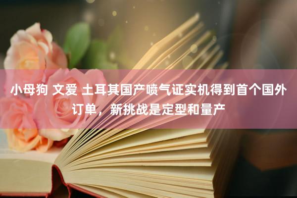 小母狗 文爱 土耳其国产喷气证实机得到首个国外订单，新挑战是定型和量产