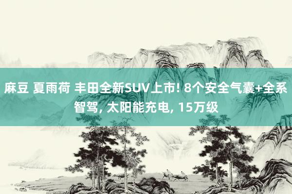 麻豆 夏雨荷 丰田全新SUV上市! 8个安全气囊+全系智驾， 太阳能充电， 15万级