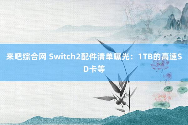 来吧综合网 Switch2配件清单曝光：1TB的高速SD卡等