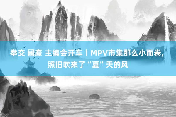 拳交 國產 主编会开车丨MPV市集那么小而卷， 照旧吹来了“夏”天的风