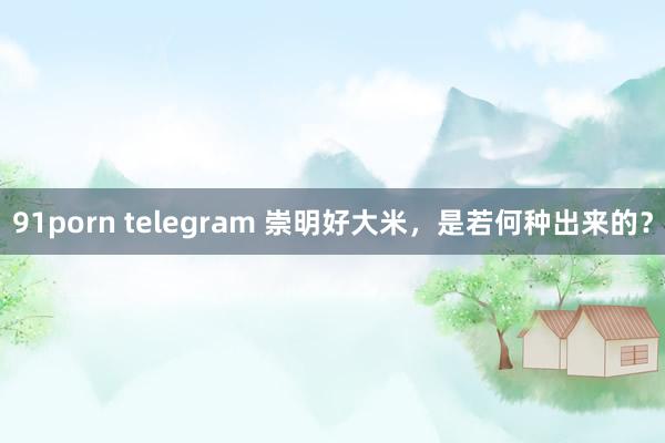 91porn telegram 崇明好大米，是若何种出来的？