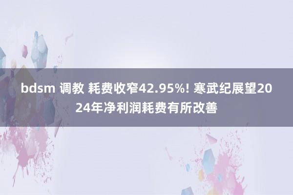 bdsm 调教 耗费收窄42.95%! 寒武纪展望2024年净利润耗费有所改善