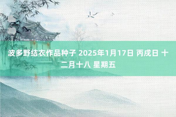 波多野结衣作品种子 2025年1月17日 丙戌日 十二月十八 星期五